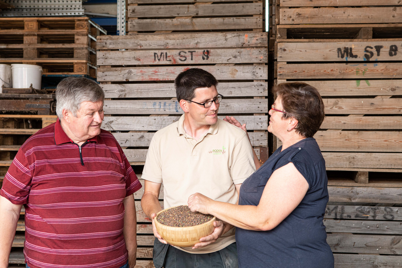 Farmers inspecting grains from their harvest